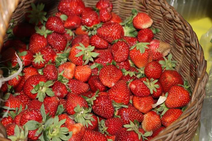 Frutería y Verdulería
