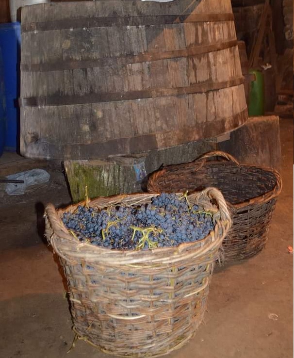 Vinos y Licores Artesanales